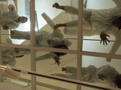 p3911554-copy_175x130_crop_478b24840a